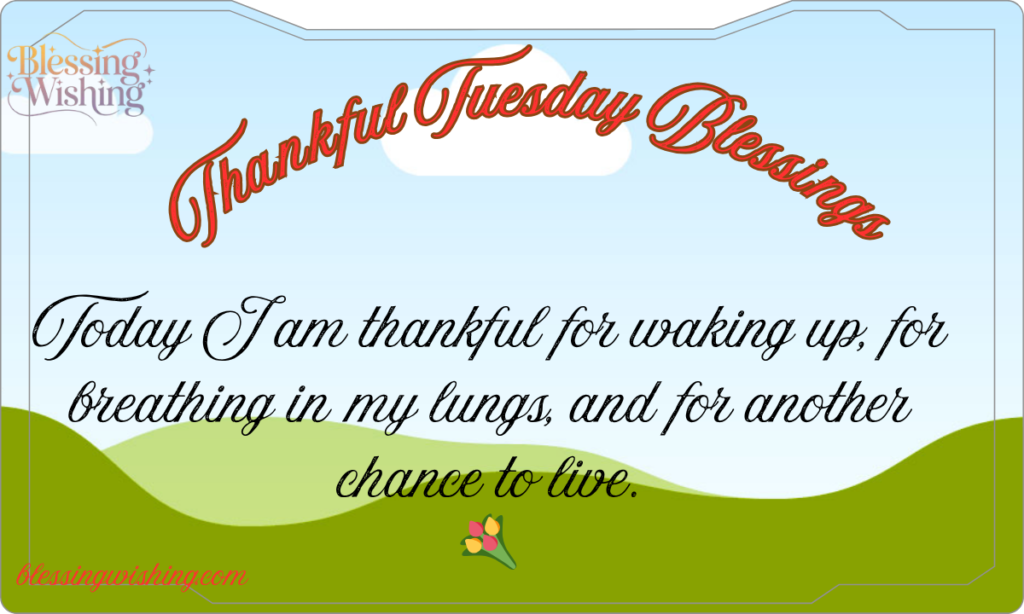 235 Uplifting Tuesday Blessings_ to Heal Your Heart