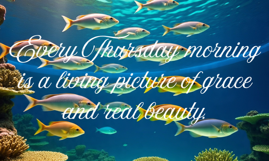 Every Thursday morning is a living picture of grace and real beauty.