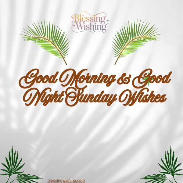 Sunday Evening Quotes & Blessings – Relax, Reflect & Welcome a Peaceful New Week