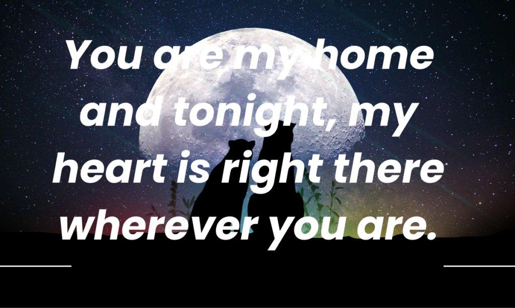 Sweet Good Night Message For My Love
