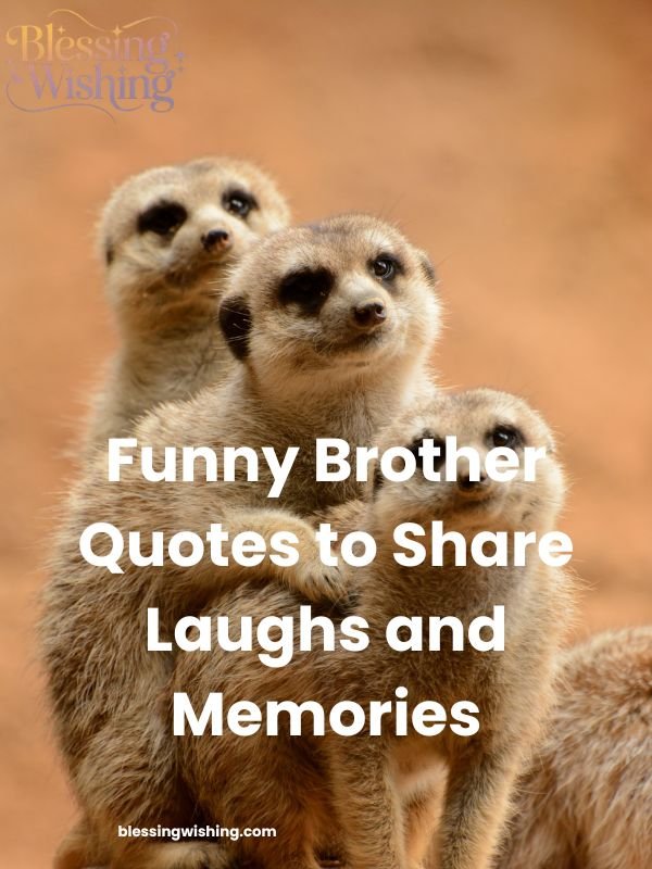 Funny Brother Quotes to Share Laughs and Memories